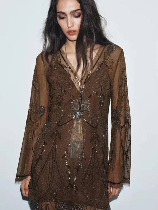 Zara Brown Sheer Beaded V-Neck Mini Dress - Picture 2 of 9